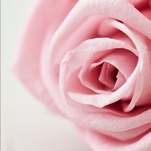 Meet your Posher, Cecilia